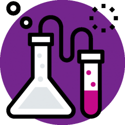 purple lab